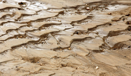 Similar image 2934133