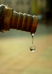 Similar image 2934139