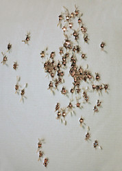 Similar image 2934173