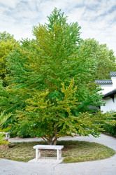 Similar image 2934199