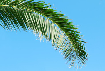 Similar image 2934200