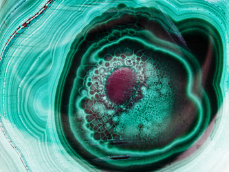 Similar image 2934254