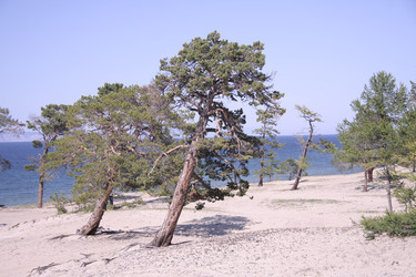 Similar image 2934280