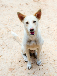 Similar image 2934430