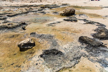 Similar image 2934473