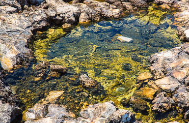 Similar image 2934481