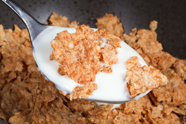 Similar image 2934509