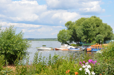 Similar image 2934603