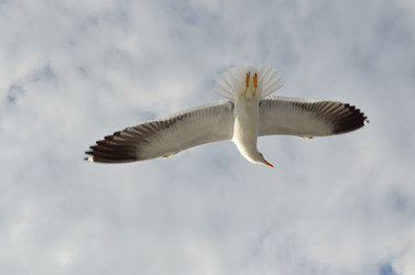 Similar image 2934609