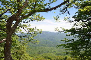 Similar image 2934623