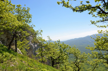 Similar image 2934637