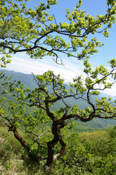 Similar image 2934640