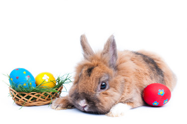 Similar image 2934793