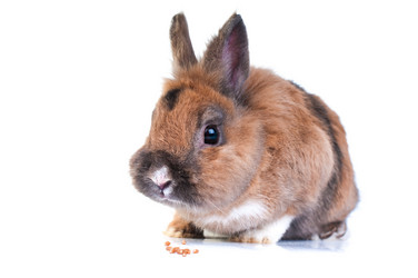 Similar image 2934794