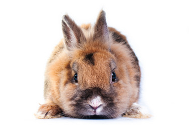 Similar image 2934796