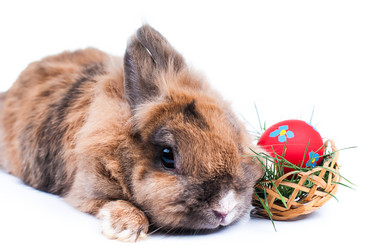 Similar image 2934797