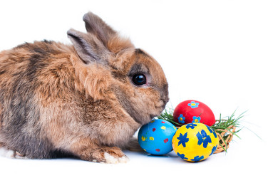 Similar image 2934798