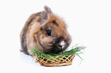 Similar image 2934799