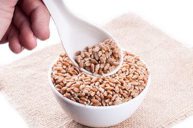 Similar image 2934804