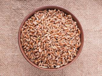 Similar image 2934807