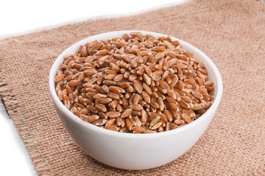 Similar image 2934812