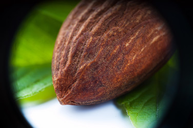 Similar image 2934834