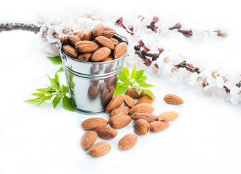 Similar image 2934838