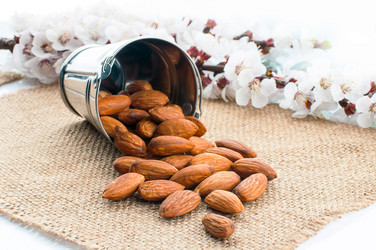 Similar image 2934840