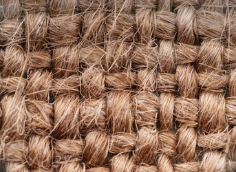 Similar image 2934841