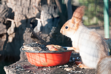 Similar image 2934843