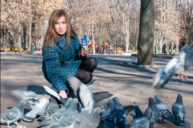 Similar image 2934845