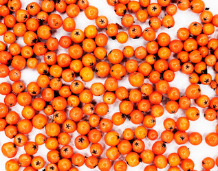 Similar image 2934983