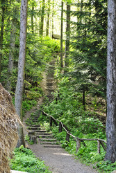 Similar image 2934985