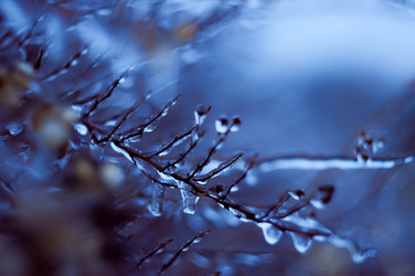 Similar image 2934986