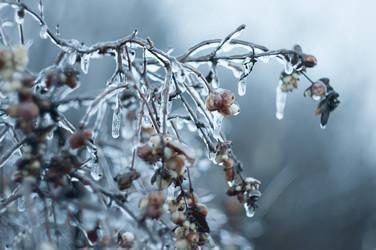 Similar image 2934987