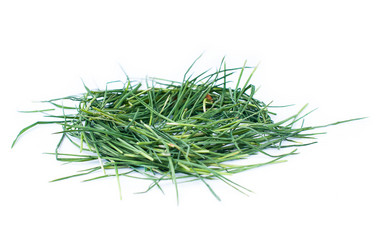 Similar image 2934997