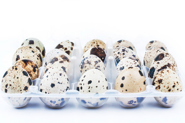 Similar image 2934998