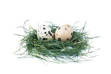 Similar image 2935000