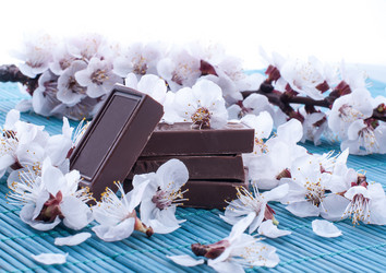 Similar image 2935008