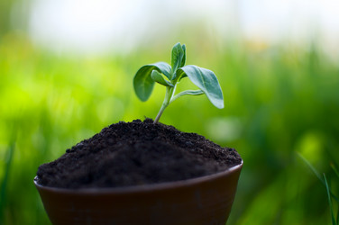 Similar image 2935010