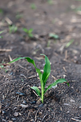 Similar image 2935023