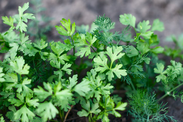 Similar image 2935025