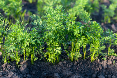 Similar image 2935026