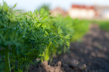 Similar image 2935027