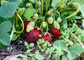 Similar image 2935028