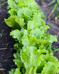 Similar image 2935032