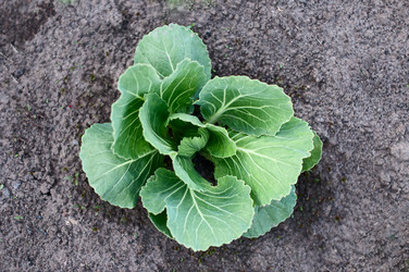 Similar image 2935037