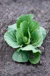 Similar image 2935038