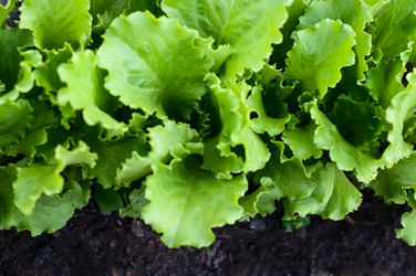 Similar image 2935040