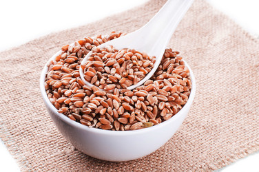 Similar image 2935051